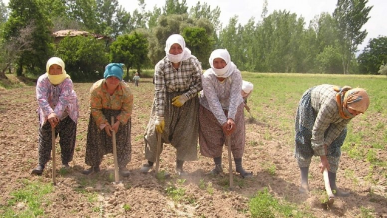 15 Ekim Dünya Kadın Çiftçiler Günü