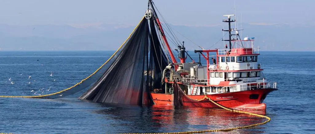 Balık Avı Yasağı Başladı