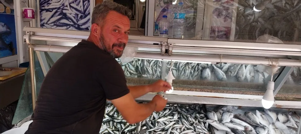Balık Yasağı Kalktı Sardalye Ucuzladı