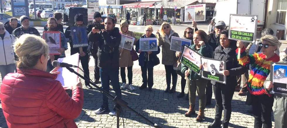 “Barınak Belediyenin ise Köpekler Hepimizindir!”
