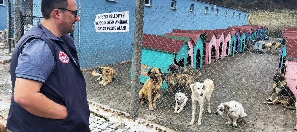 Barınaktaki Canlara Kuduz Aşısı Yapıldı