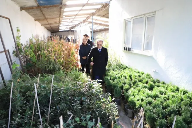 Başkan Özacar’dan Sera Alanında İnceleme