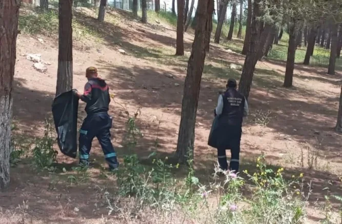 Belediyeden Çamlıkta Temizlik