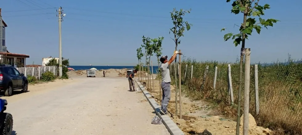 Belediyenin Ağaçlandırma Çalışmaları Sürüyor