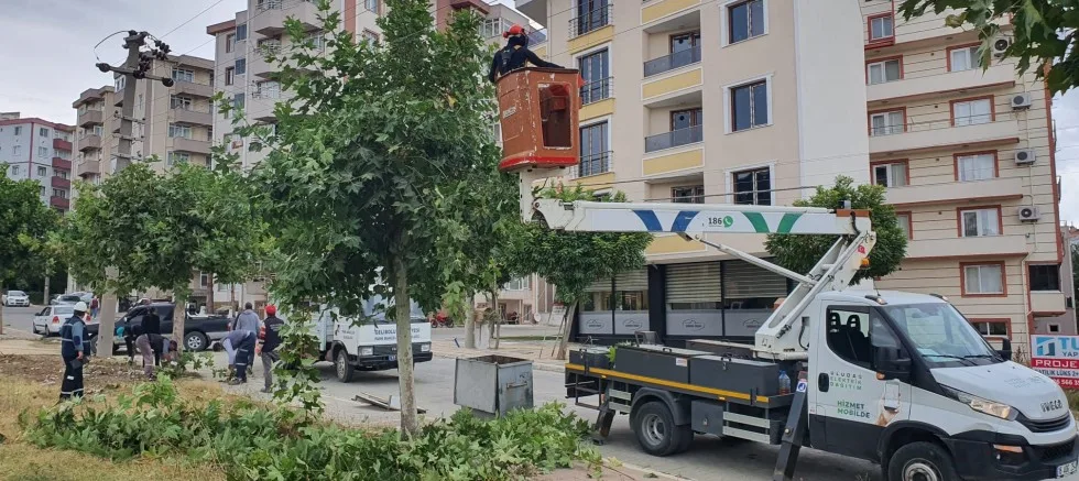 Belediyenin Kış Tedbirleri Sürüyor