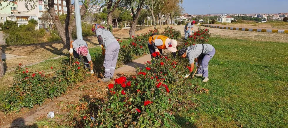Çalışmalar Devam Ediyor