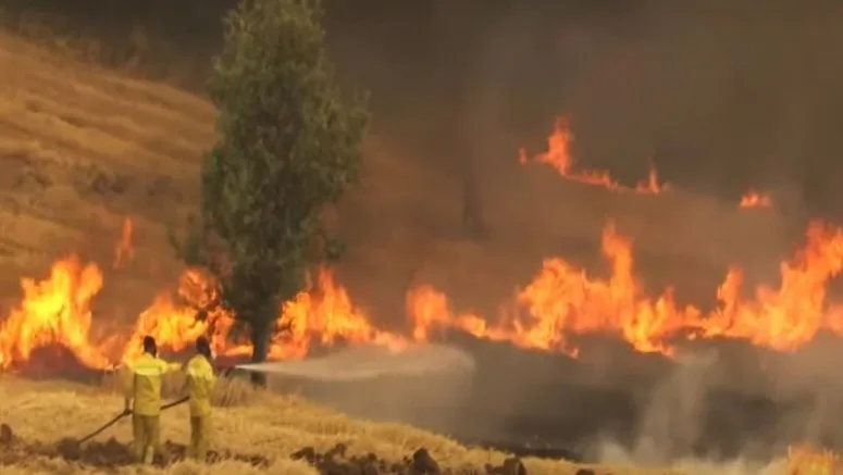 Çanakkale'de 6 Köy Boşaltıldı