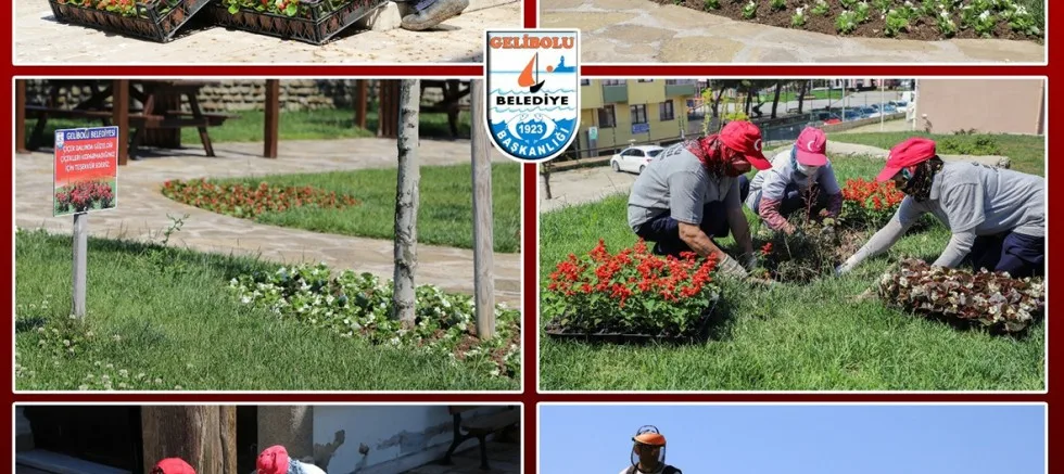Çiçekler Toprakla Buluşuyor