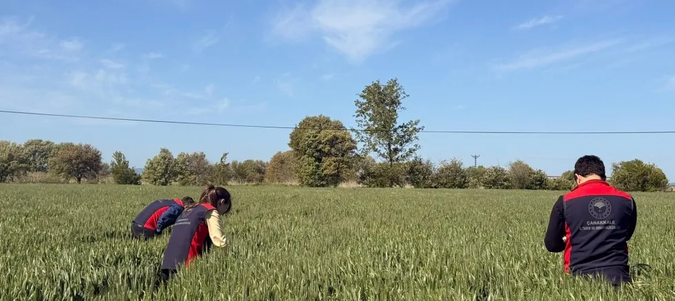 Çiftçilere Süne Uyarısı: ‘İlanı Bekleyin, Doğayı Koruyun’