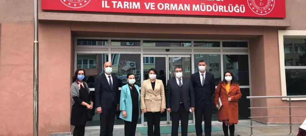 ‘Gelibolu’nun Kadınları Kozalarından Çıkıyor’ Proje Başvurusu Yapıldı