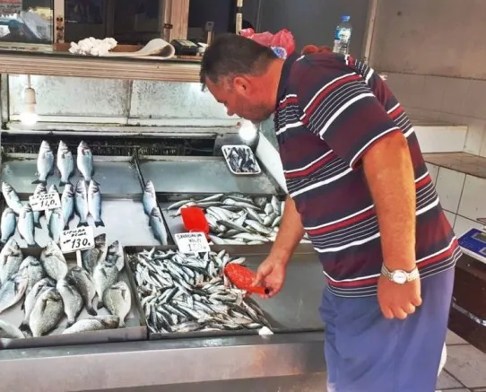 Gelibolu Sardalyesi Levreği Tahtından İndirdi