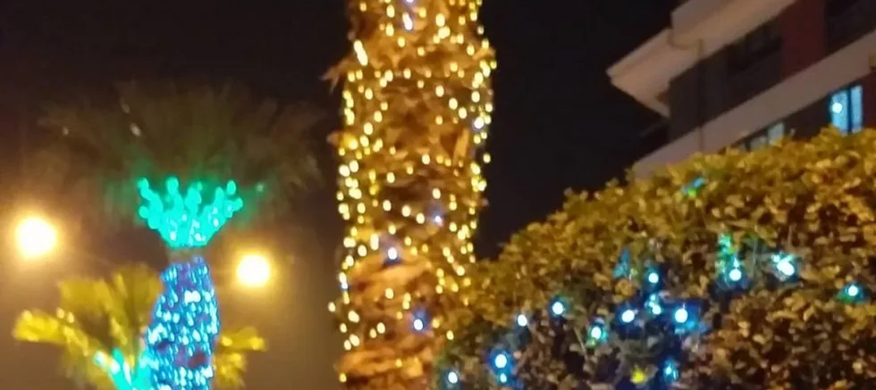 Gelibolu Yeni Yıla Hazırlanıyor