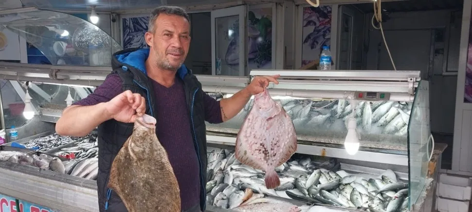 Kalkan, Lüferin Tahtın  Ele Geçirdi: Kilo 500