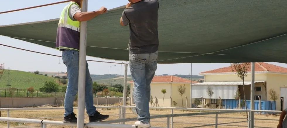 Kurban Satış Alanında Hazırlıklar Başladı