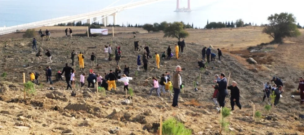 Milli Ağaçlandırma Gününde İlçemizde 300 Fidan Dikildi