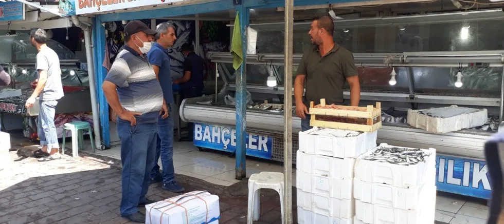 Sardalyanın  Kilosu 10 Liraya Düştü