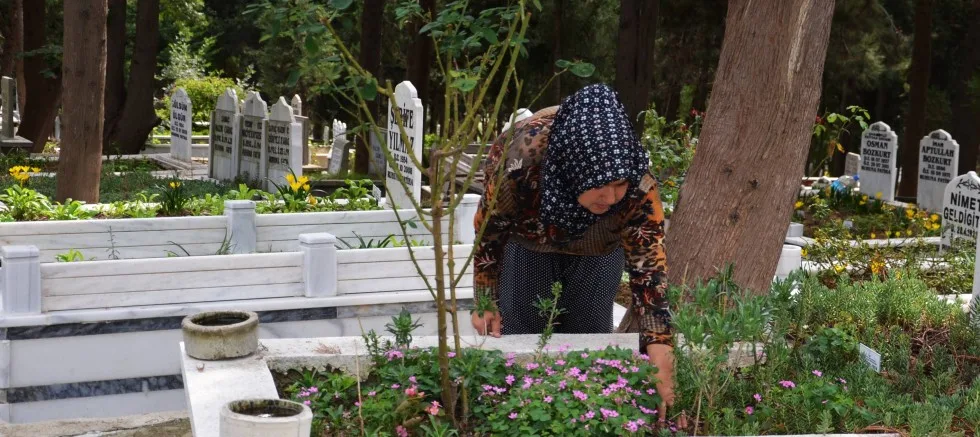 Sokak Hayvanlarının Gönüllü Dostu