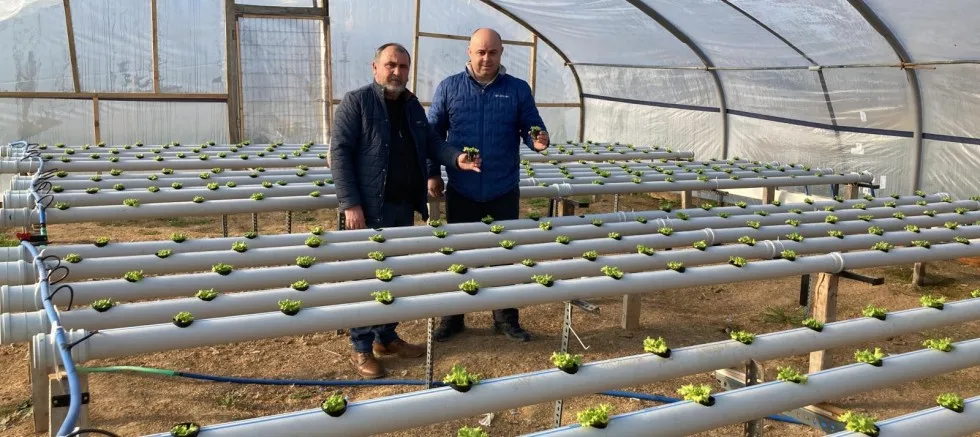 Topraksız Tarım İçin Ar-Ge Çalışmasına Başladılar