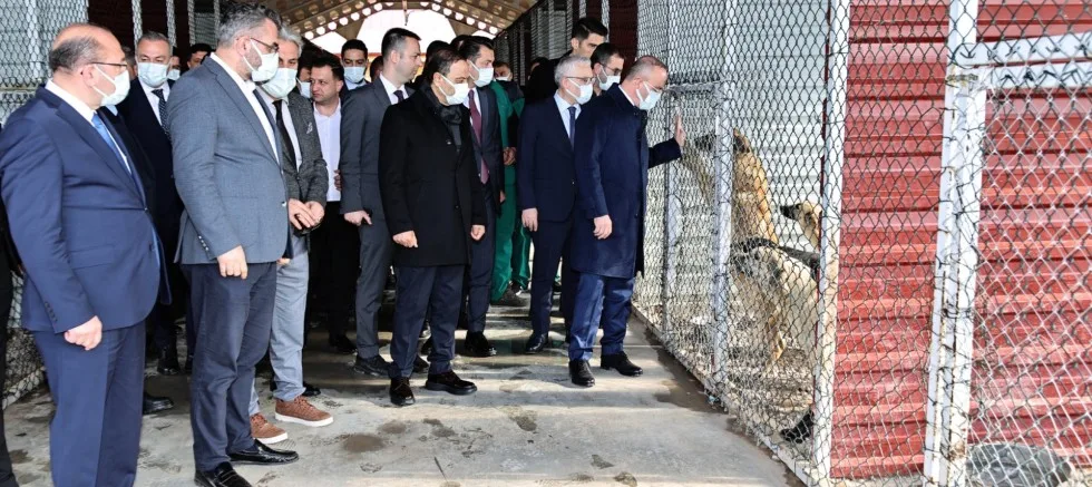 Turan; ‘Özel Barınak Açmak İsteyenlere Valilik Destek Verecek’