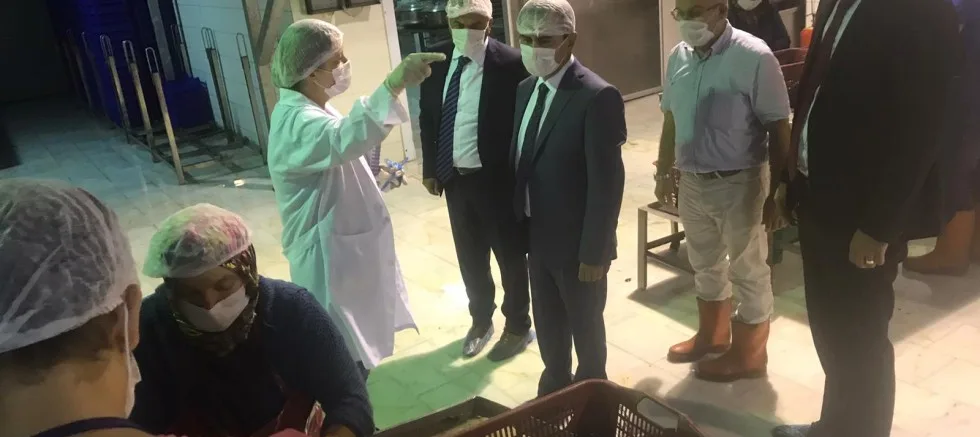 Vali Aktaş, Gelibolu Deniz Ürünlerini Ziyaret Etti