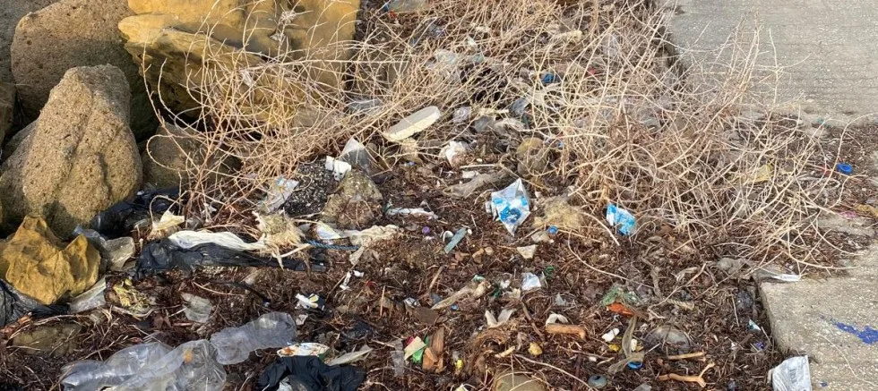 Vatandaşlar, İskele Bölgesinin De Temizlenmesini İstiyor