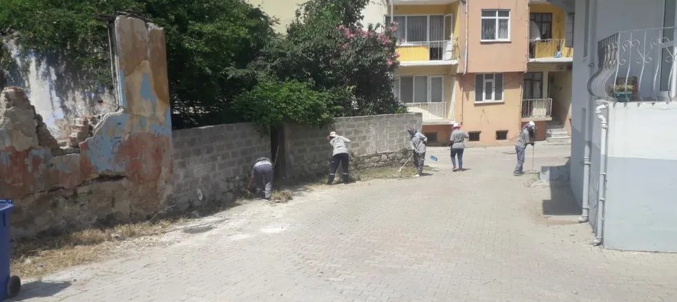 Yabani Ot Temizliği Yapıldı