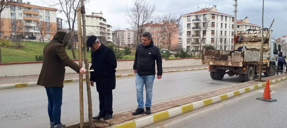 Yeni Fidanlar Dikildi